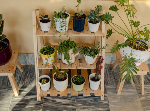 Elevate Your Space with DIY Plant Stand Makeovers from Ecofynd