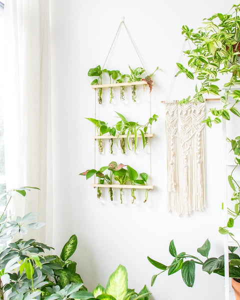 Hanging Planters