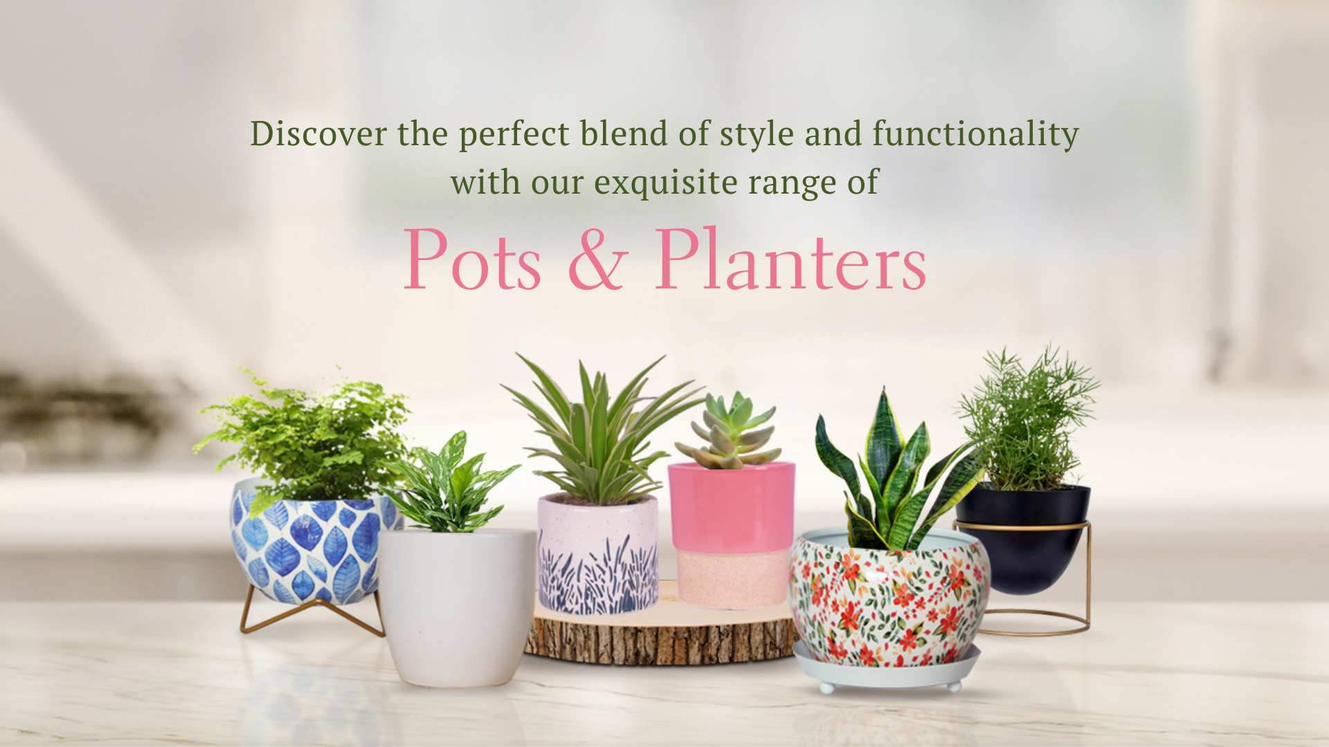 Pots and Planters – Ecofynd