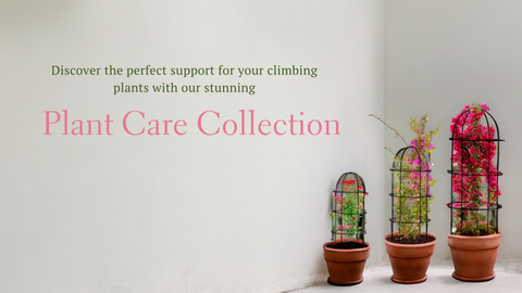 Plant Care/ Support