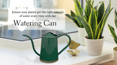 Watering Can