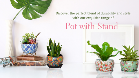 Pot With Stand