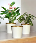 Ecofynd White Bucket Metal Planter