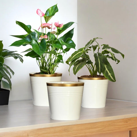 Ecofynd White Bucket Metal Planter