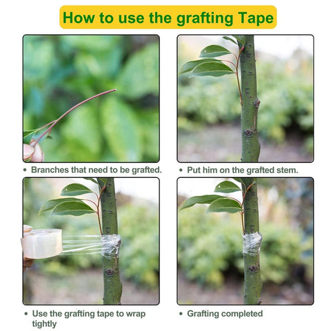 Ecofynd Grafting Stretchable Tape