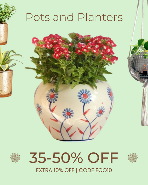 Pots and Planters