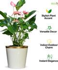 Ecofynd White Bucket Metal Planter