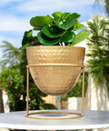 ecofynd Alle Gold Metal Plant Pot with Stand