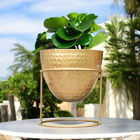 Alle Gold Metal Plant Pot with Stand