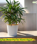 Ecofynd White Bucket Metal Planter