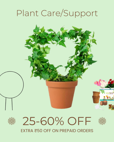 Plant Care/ Support