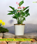 Ecofynd White Bucket Metal Planter