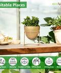 ecofynd Alle Gold Metal Plant Pot with Stand