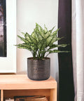 ecofynd Adam Metal Plant Pot