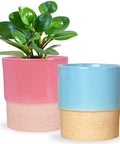 ecofynd Ceramic Plant Pot