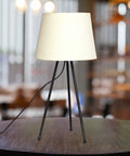 Ecofynd Table Lamp