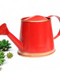 ecofynd Red Watering Can for Kids 250 ml