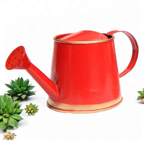 Red Watering Can for Kids 250 ml