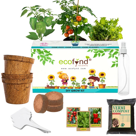 3 in 1 Salad Gardening Kit