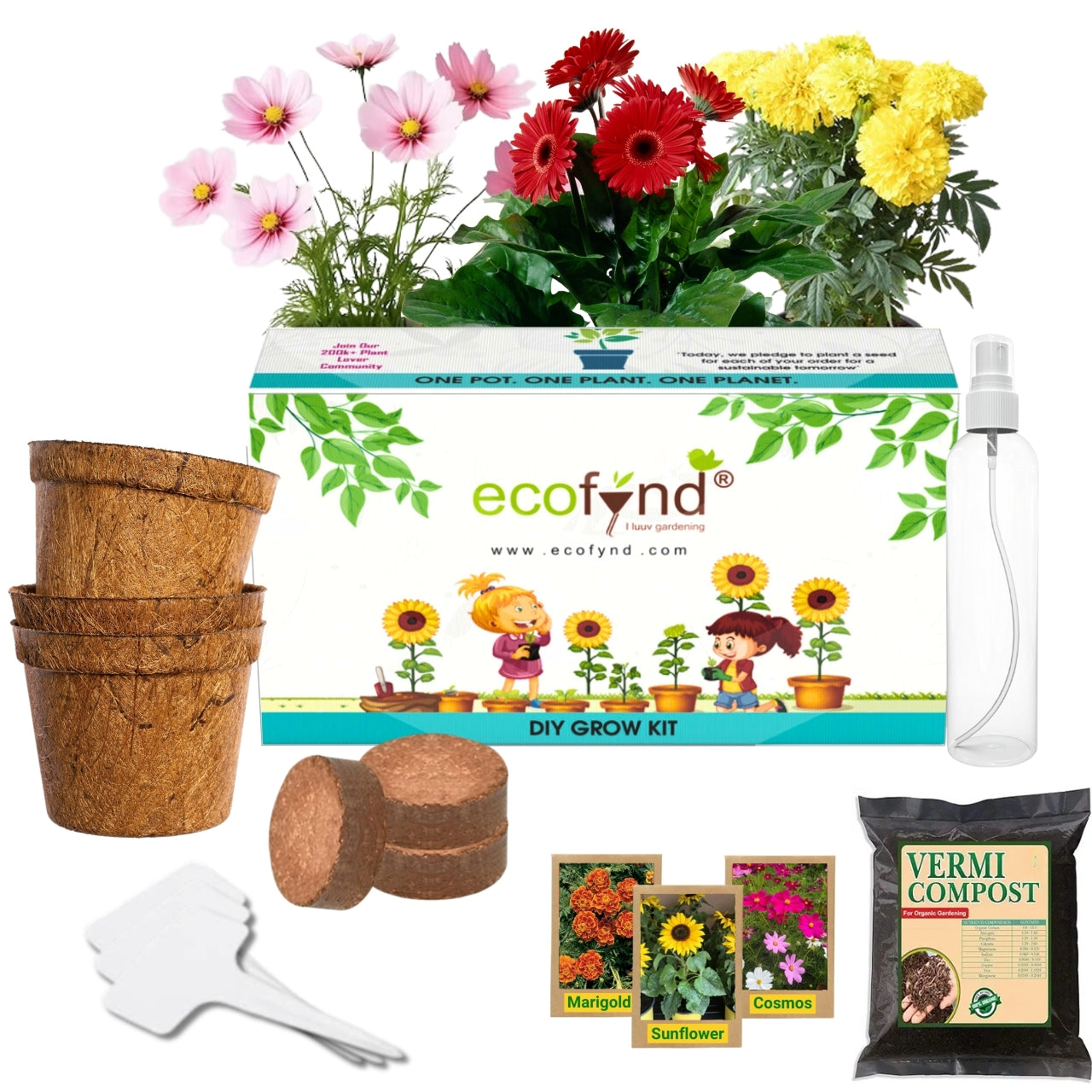 3 in 1 DIY Growkit for Marigold, Sunflower and Cosmos Mix