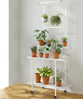 ecofynd Leon Plant Stands for Outdoor Balcony with Wheels