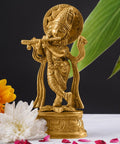 ecofynd Lord Krishna Idol