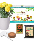 ecofynd DIY Grow Kit of Marigold Flower