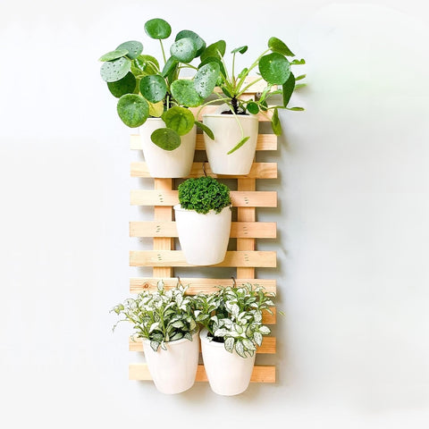 Ecofynd Wooden Hanging Planter Wall Frame