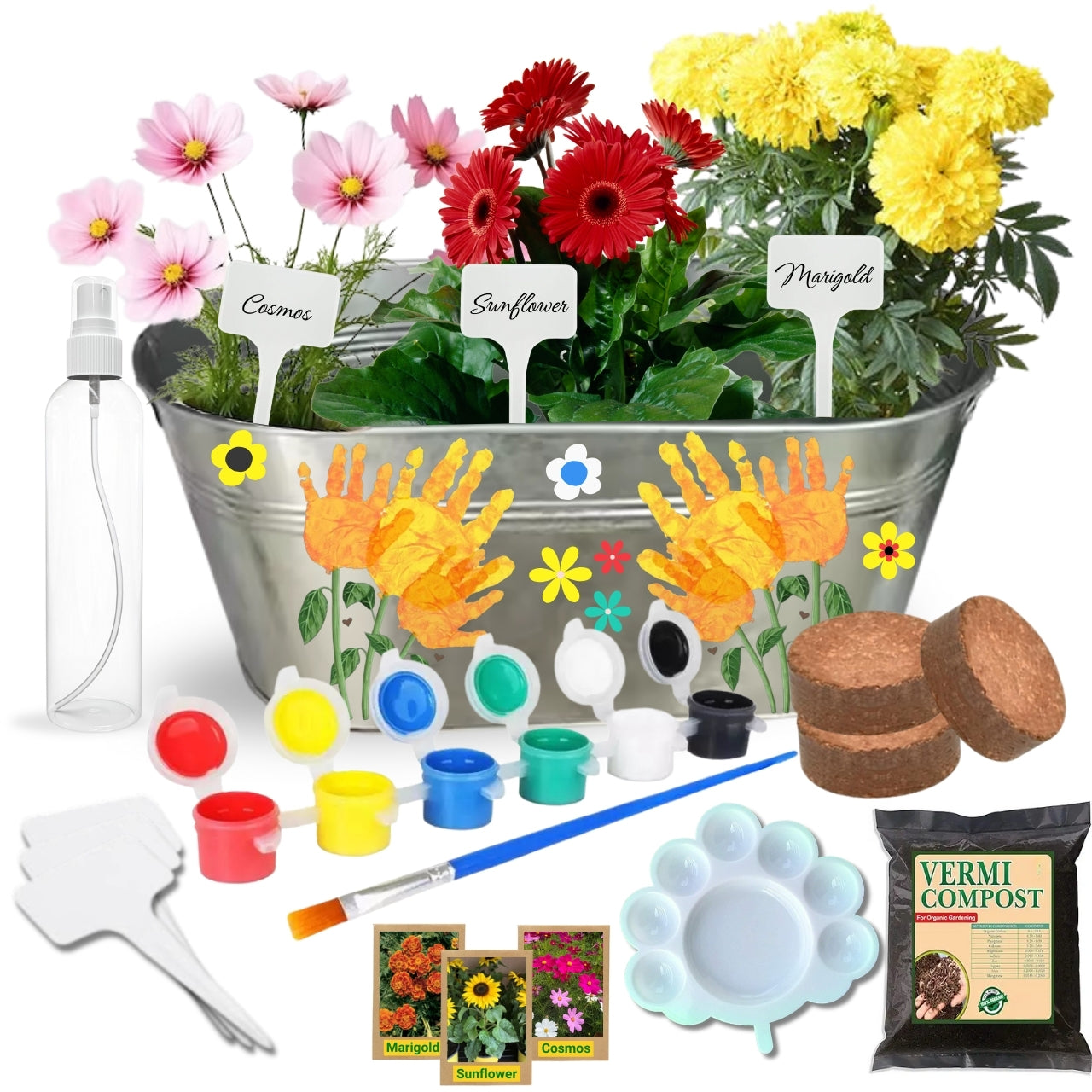 3 in 1 DIY Paint and Plant Growkit