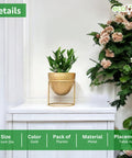 ecofynd Alle Gold Metal Plant Pot with Stand