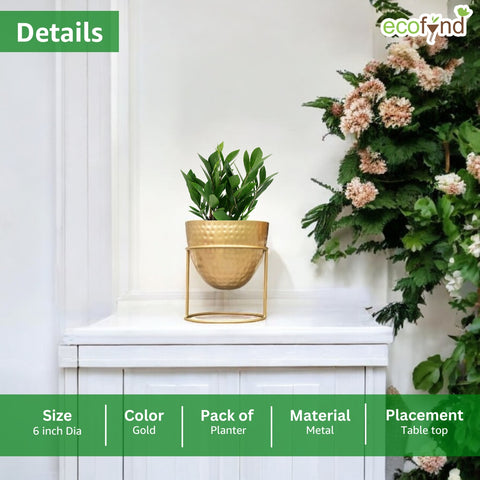 Alle Gold Metal Plant Pot with Stand