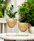 ecofynd Alle Gold Metal Plant Pot with Stand (Set of 2)