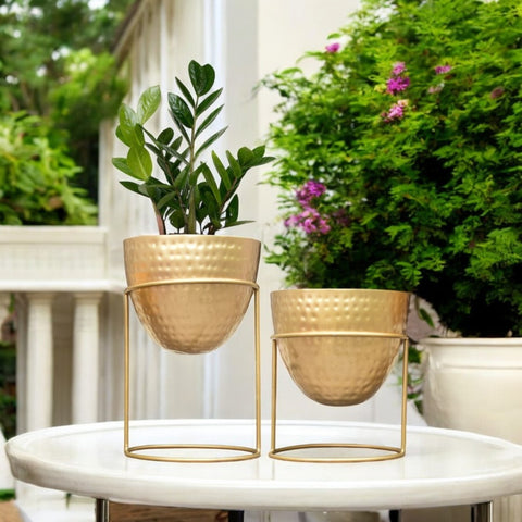 Alle Gold Metal Plant Pot with Stand (Set of 2)