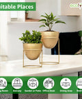 ecofynd Alle Gold Metal Plant Pot with Stand (Set of 2)