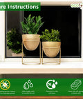 ecofynd Alle Gold Metal Plant Pot with Stand (Set of 2)