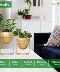 ecofynd Alle Gold Metal Plant Pot with Stand (Set of 2)