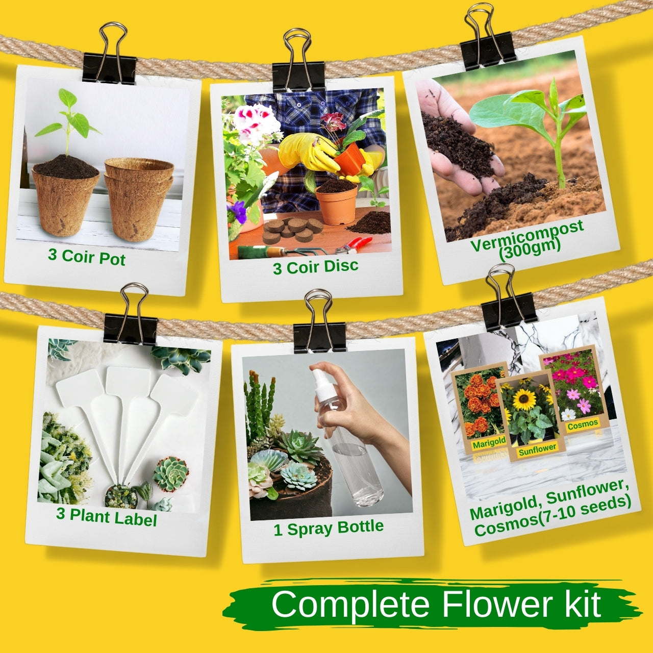 3 in 1 DIY Growkit for Marigold, Sunflower and Cosmos Mix