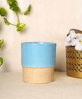 ecofynd Ceramic Plant Pot