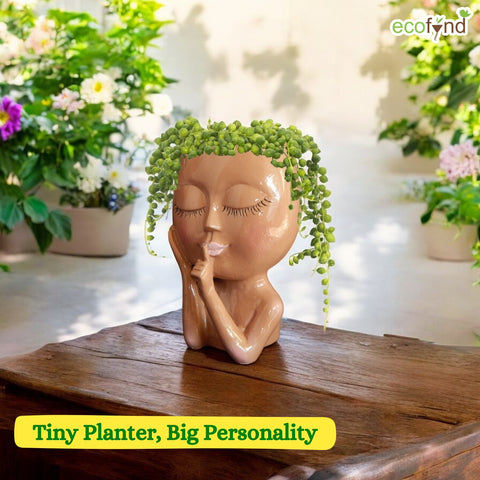 Ecofynd Lady Face Planter