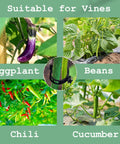 ecofynd Plant Support Garden Clips