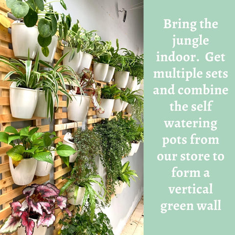 Ecofynd Wooden Hanging Planter Wall Frame