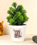 ecofynd Melamine Cone Pot