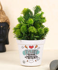 ecofynd Melamine Cone Pot