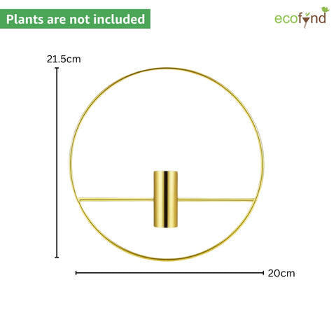 ecofynd Wall Decor Hanging Planter