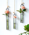 ecofynd Metal Wall Hanging Test Tube Planter