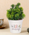 ecofynd Melamine Cone Pot