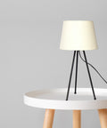 Ecofynd Table Lamp