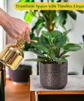 ecofynd Adam Metal Plant Pot