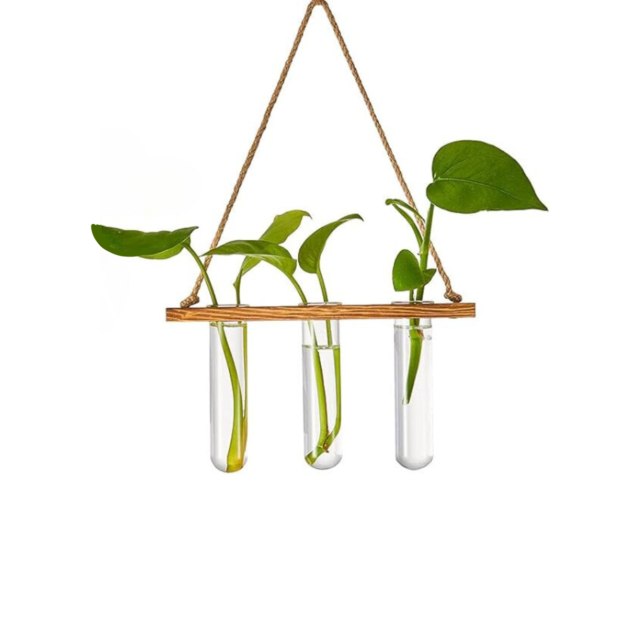 1-Tier Wall Hanging Test Tube Planter