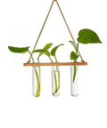 ecofynd 1-Tier Wall Hanging Test Tube Planter